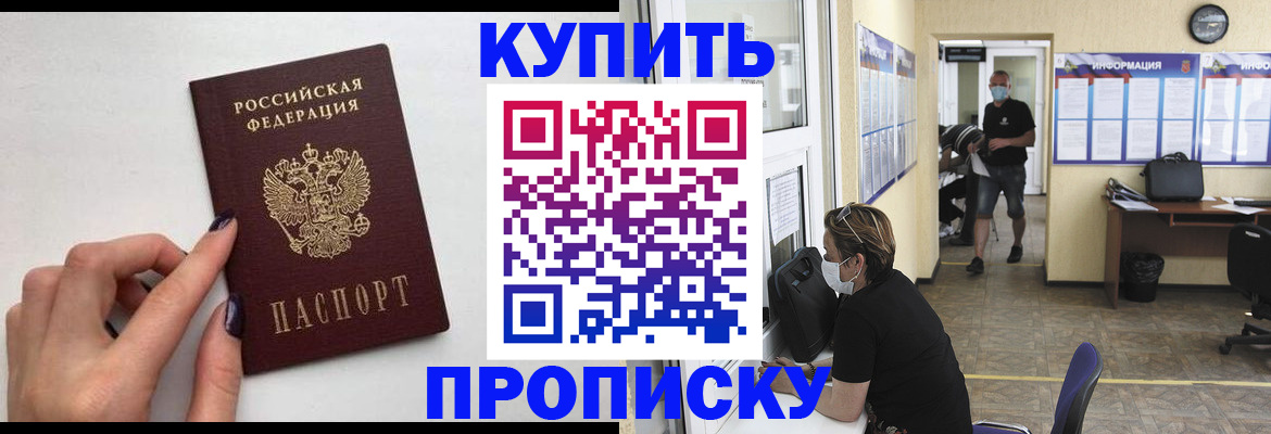 прописка гарантия в Дмитрове